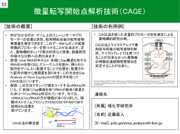 微量転写開始点解析技術（CAGE） - 創薬等支援技術基盤プラットフォーム
