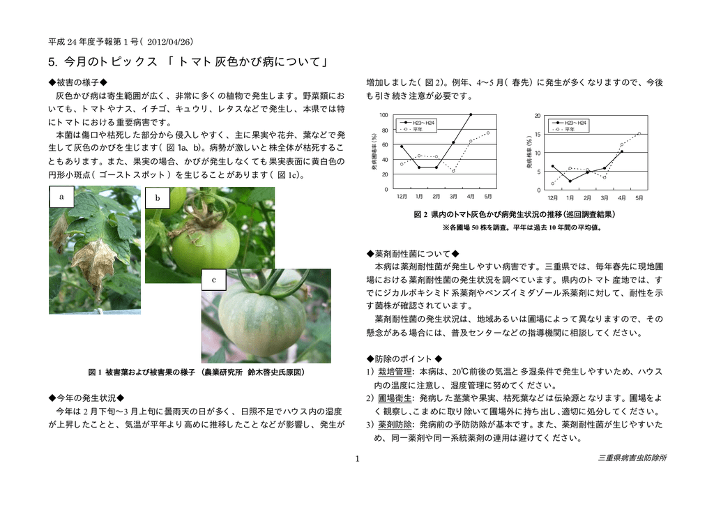 トマト灰色かび病について Mate 三重県農業技術情報システム