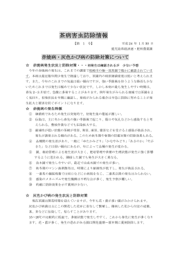 H24年度-1-茶病害虫防除情報：赤焼病・灰色かび