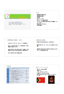 東ティモール国際調査報告書