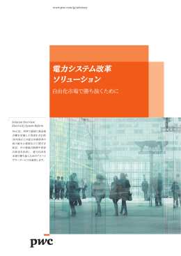 電力システム改革 ソリューション