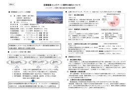 京葉臨海コンビナート競争力強化について（PDF：214KB）