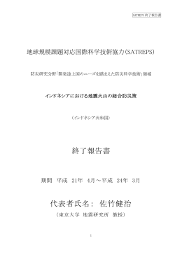終了報告書 代表者氏名： 佐竹健治