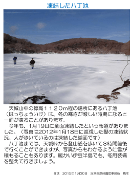 2015年2月「凍結した八丁池」「城ヶ崎海岸の自然研究路」