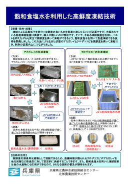 飽和食塩水を利用した高鮮度凍結技術 - 兵庫県立農林水産技術総合