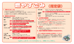 燃やすごみ 燃やすごみ（指定袋）