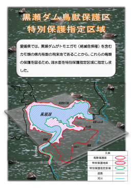 愛媛県では、黒瀬ダムがトモエガモ（絶滅危惧種）を含む カモ類の県内