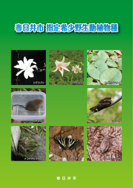 春日井市指定希少野生動植物種