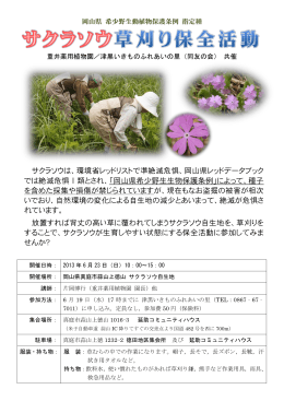 サクラソウは、環境省レッドリストで準絶滅危惧、岡山県レッドデータブック