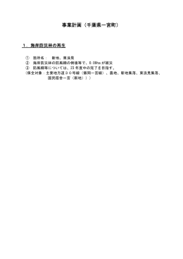 事業計画（千葉県一宮町）