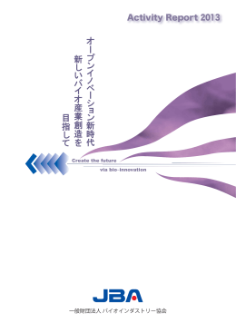 Activity Report 2013