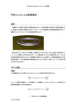 円形コイルによる誘導電流・手順書(PDF形式)