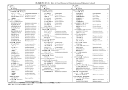 沖ノ鳥島サンゴリスト List of Coral Fauna in Okinotorishima (Okinotori