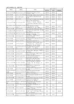 維管束植物以外（蘚苔類） 改訂RL 旧RL 環境省 カテゴリー 科名 和名 学名