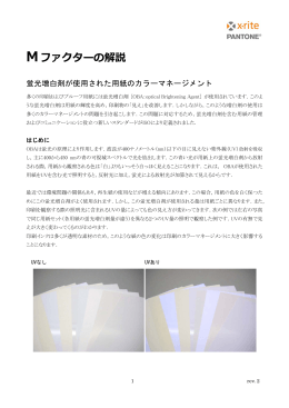 Mファクターの解説