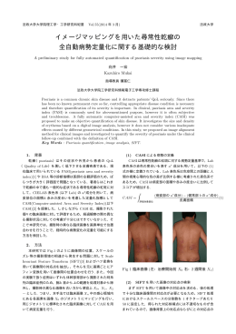 イメージマッピングを用いた尋常性乾癬の 全自動病勢定量化に関する
