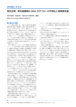 原生生物・寄生細菌間の DNA 分子フローの可視化と高精度定量