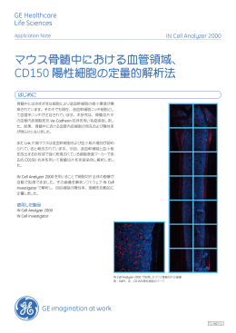 マウス骨髄中における血管領域、CD150陽性細胞の定量的解析法