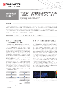 ドラックイメージングにおける標準サンプルの分析