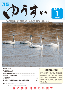 「優雅に泳ぐ白鳥」