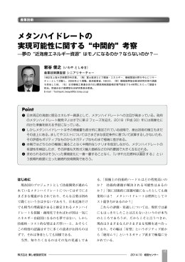 メタンハイドレートの 実現可能性に関する &ldquo;中間的&rdquo; 考察