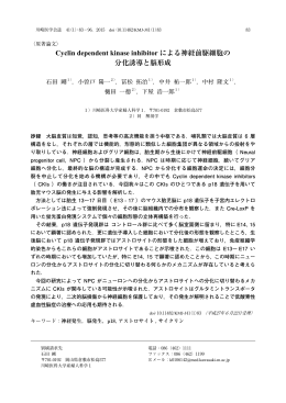 Cyclin dependent kinase inhibitor による神経前駆細胞の 分化誘導と