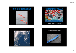 駿河湾深海漁の魅力 - 東海大学海洋学部