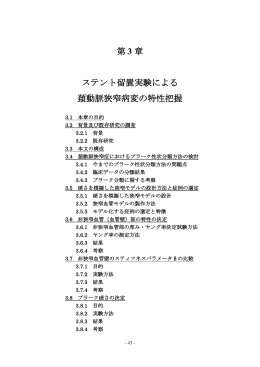 第 3 章 ステント留置実験による 頚動脈狭窄病変の特性把握