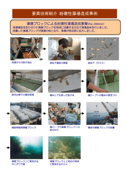 要素技術紹介：岩礁性藻場造成事例