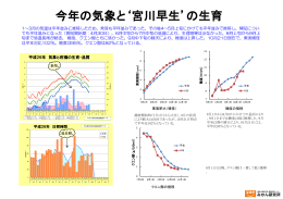 今年の気象と`宮川早生`の生育（PDF：679KB）