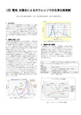 LED,電球,太陽光によるホウレンソウの生育比較実験