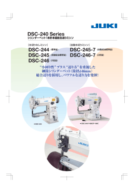 DSC-245