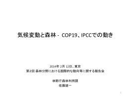 気候変動と森林 - COP19、IPCCでの動き（PDF：953KB）