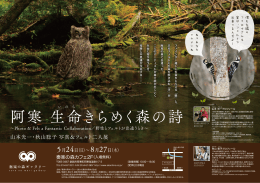 阿寒 生命きらめく森の詩