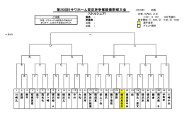 第29回ミサワホーム東京杯争奪親善野球大会