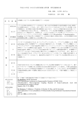 平成26年度 日本大学文理学部個人研究費 研究実績報告書