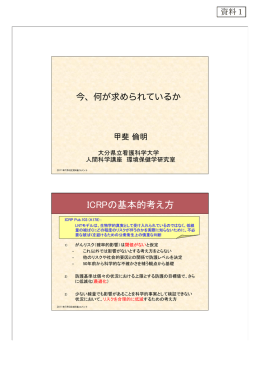 甲斐倫明氏提出資料 （PDF:234KB）