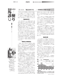 PDFファイル - 競走馬総合研究所