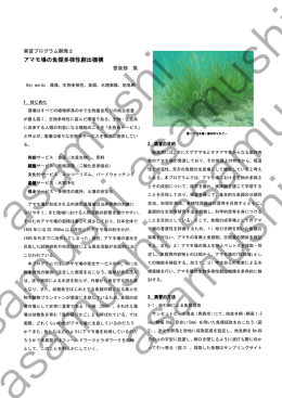 アマモ場の魚類多様性創出機構 アマモ場の魚類多様性創出機構