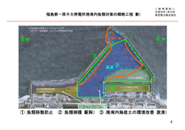 福島第一原子力発電所港湾内魚類対策の概略工程（案）