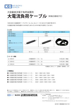 大電流負荷ケーブル（両端圧着端子付）