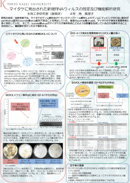 PowerPoint プレゼンテーション