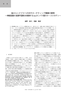 核からシナプスへの分子ターゲティング機構の解明 ―神経回路の長期