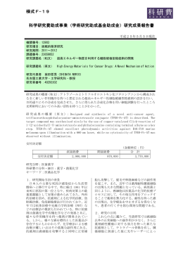 研究成果報告書