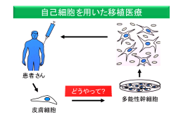 資料2