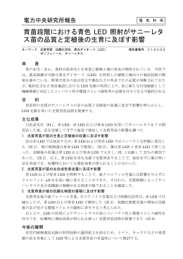 育苗段階における青色 LED 照射がサニーレタ ス苗の