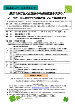 源流の村で仙人と巨樹から植物療法を学ぼう！