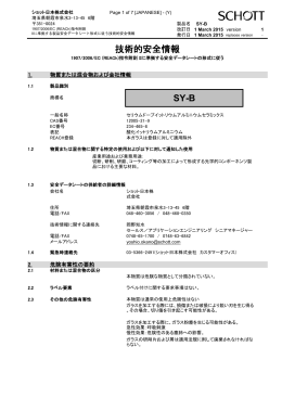 技術的安全情報 SY-B