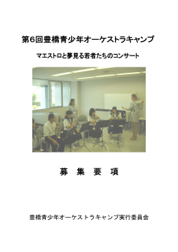 募集要項 （PDF/395KB）