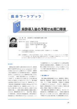 PDFをダウンロード（528 KB）